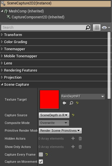 The SceneCapture2D actor has a RainDepthRT assigned as it's target.